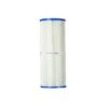Pleatco - PRB25-IN Filter Cartridge For Dynamic RDC-25/RDC-25S/RTL/RCF-25/DFM/DFML