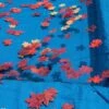 Swimline - 25' X 45' Rectangle In Ground Pool Leaf Net Cover