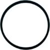 Pentair - Lid Gasket