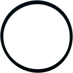 Pentair - Lid Gasket
