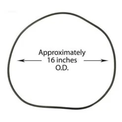 Waterway - Lid O-Ring