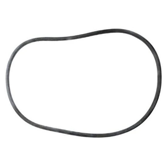 All Seals - Replacement Cord O-Ring For 21" Sta-Rite System 3 Filter Tank - Image 2