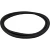 All Seals - Replacement Cord O-Ring For 21" Sta-Rite System 3 Filter Tank